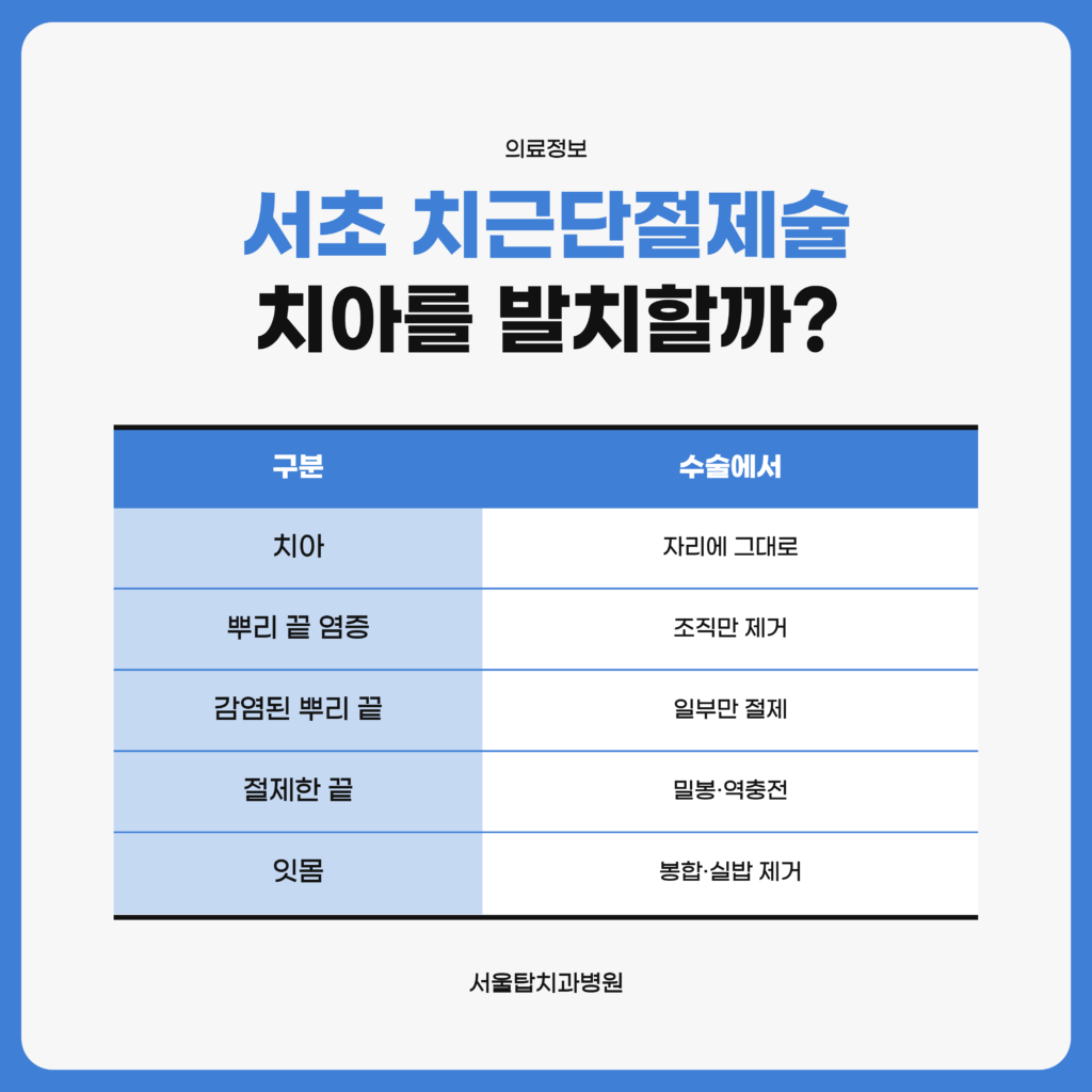 치근단절제술에서 치아는 그대로 두고 뿌리 끝 염증 조직 제거, 감염된 뿌리 끝 일부 절제, 절제한 끝 밀봉, 봉합 순서로 다루는 부분을 구분해 정리한 자료 도표